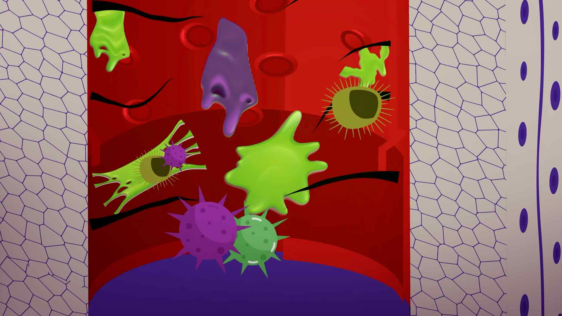 mocos animados, mocos de la nariz, mucosa, gripa, series gratis, series online, series infantiles, series juveniles