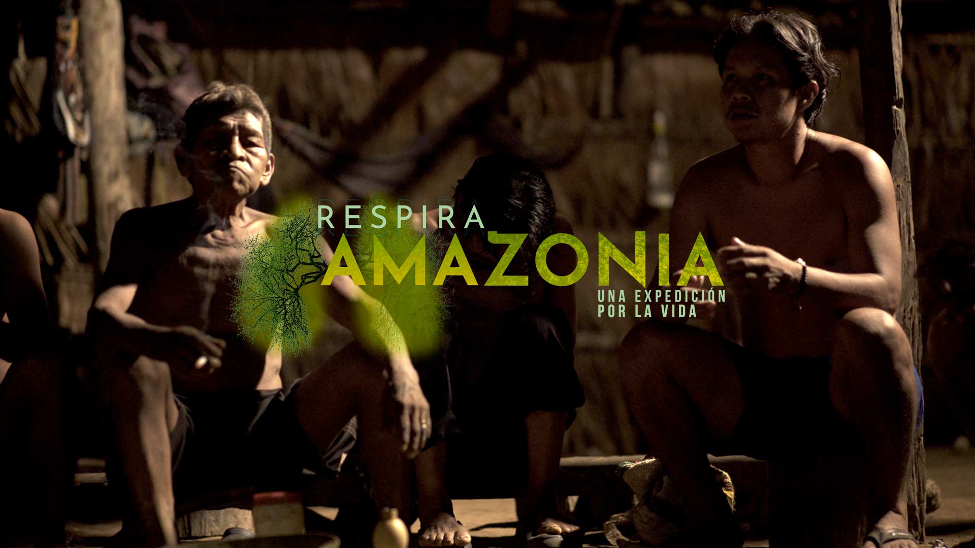 Respira Amazonia, especial multimedia de RTVC Sistema de Medios Públicos, disponible ahora en RTVCPlay