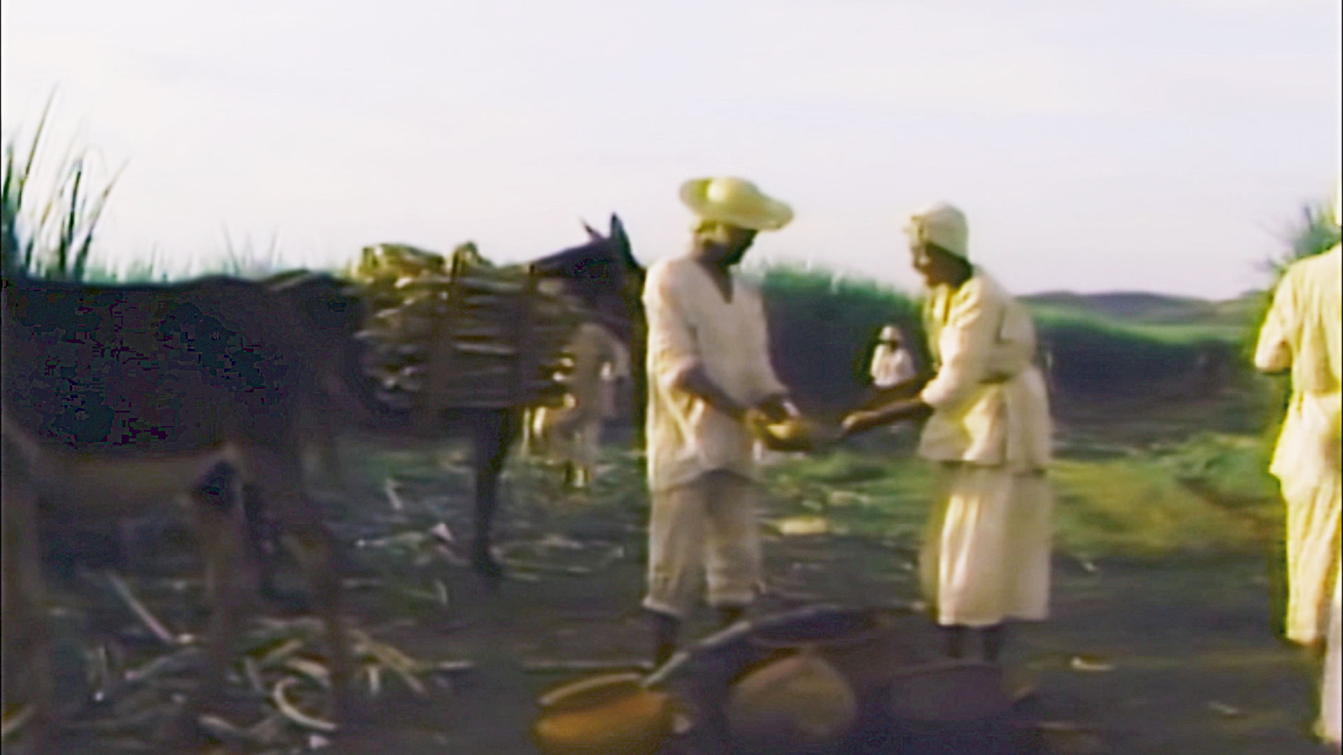 Esclavos trabajando en el campo, Revivamos nuestra historia, series de señal memoria, series de señal colombia, libertad de los esclavos, esclavitud, esclavos, abolición de la esclavitud en Colombia