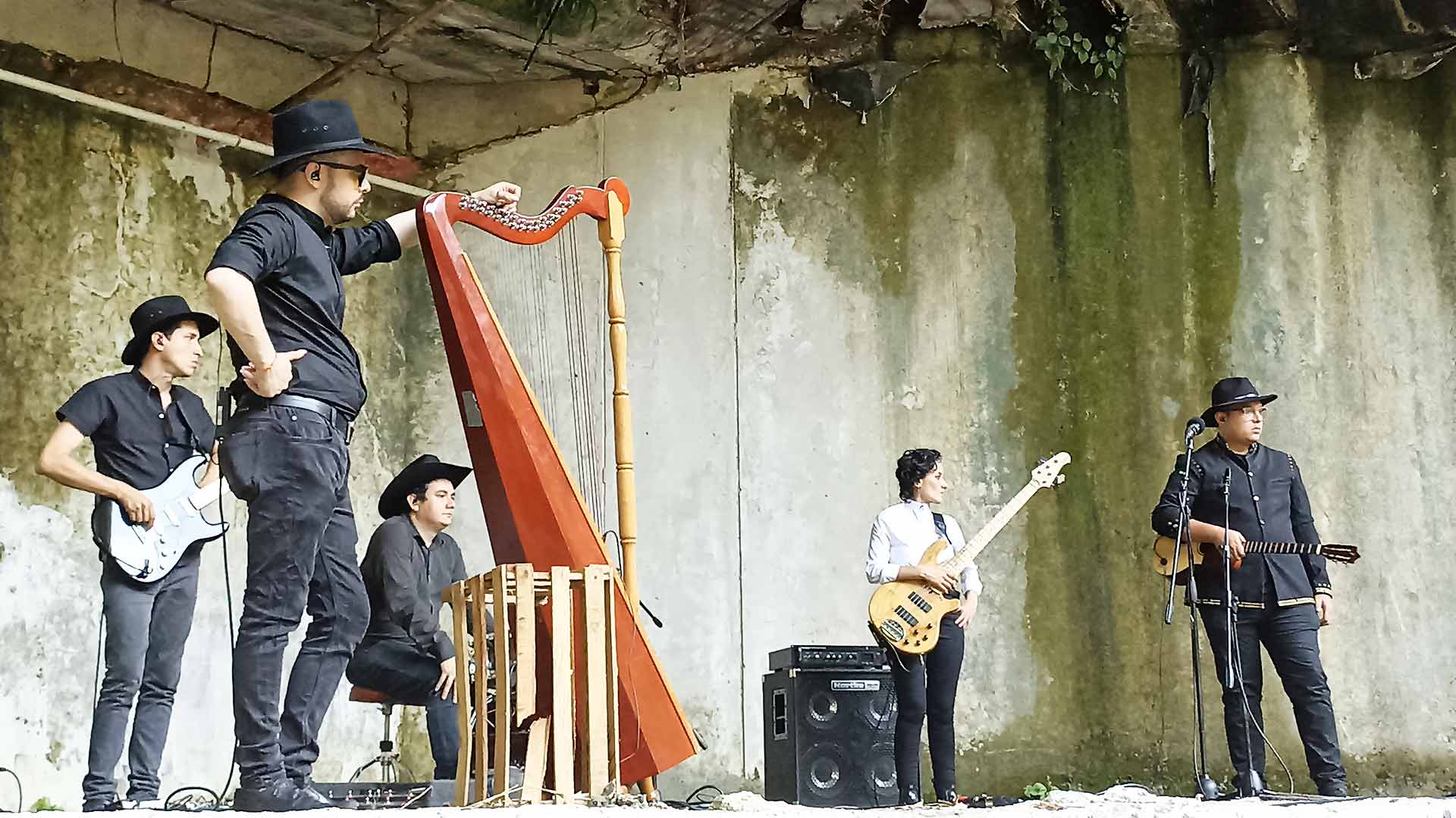 Chimó Psicodélico (Sesión completa) Sesiones RTVC