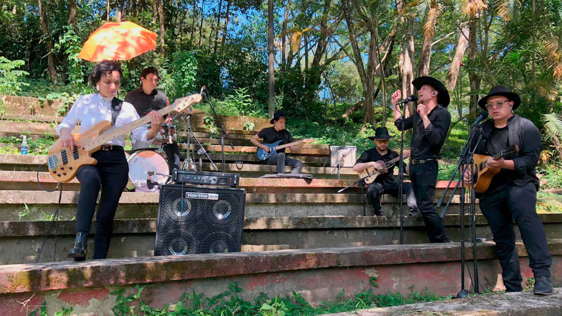 Chimó Psicodélico (Galope gris)