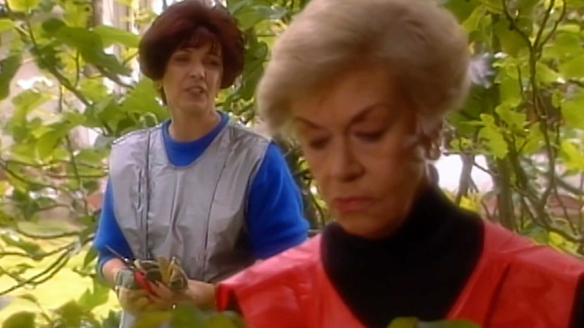 La actriz colombiana Judy Henríquez protagoniza la novela colombiana Señora Isabel