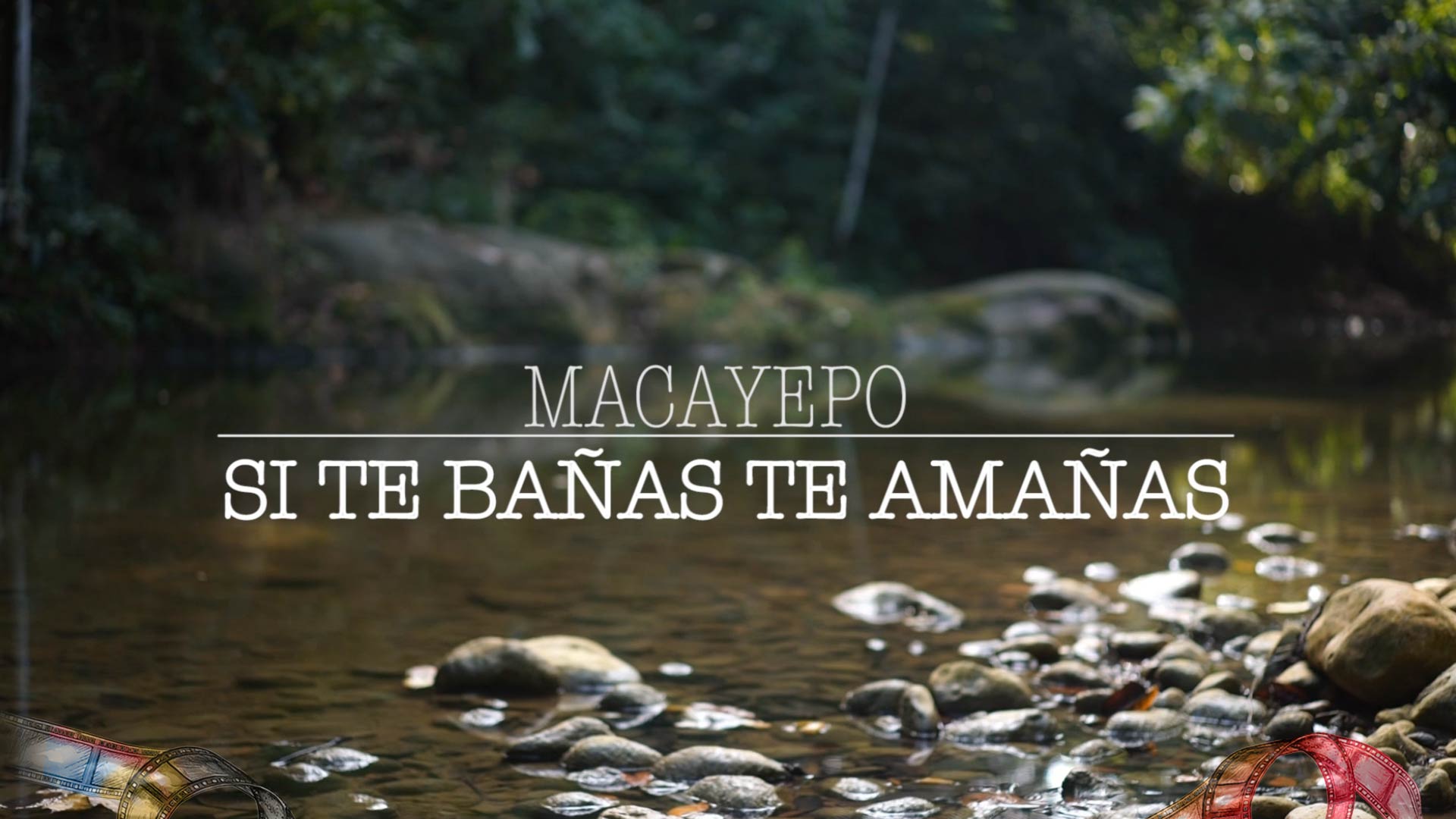 Mira ahora “Si te bañas, te amañas” de la colección Cine comunitario disponible ahora en la plataforma de streaming RTVCPlay