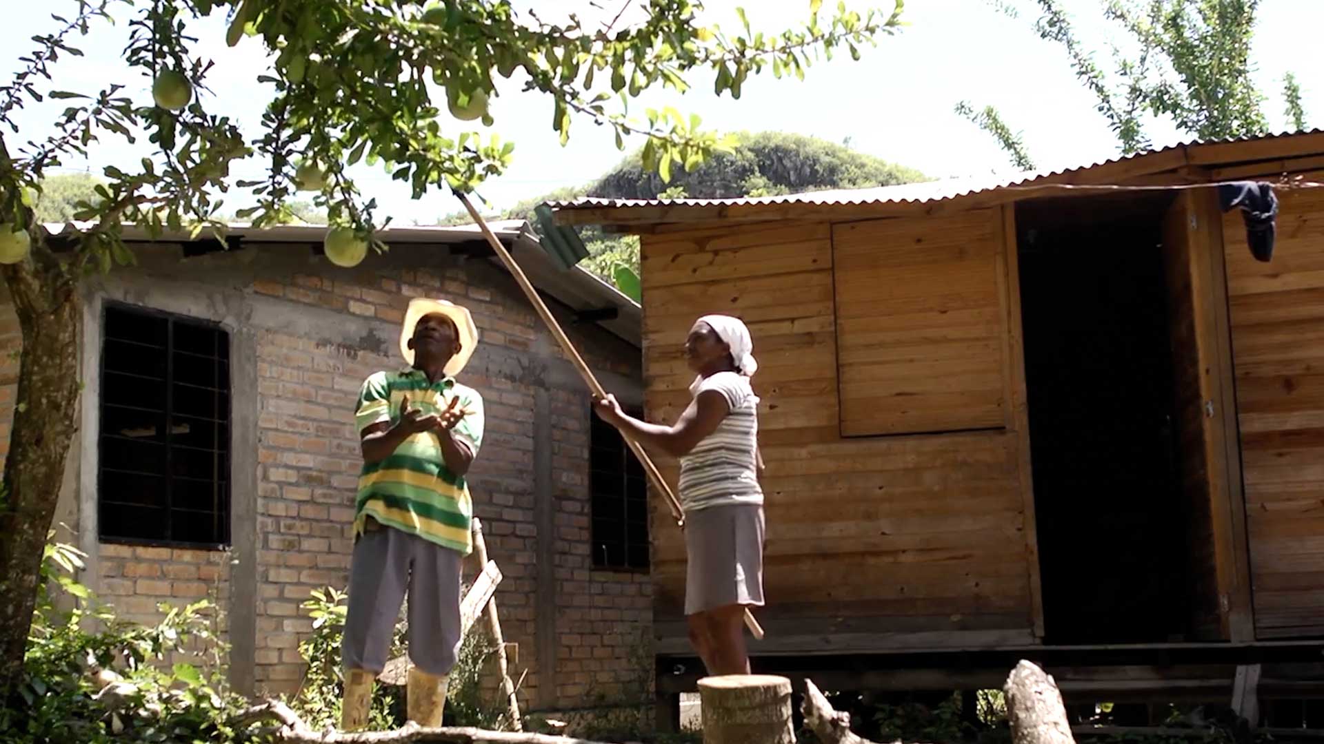 Mira ahora “Las cortamate”, segundo capítulo de la serie Sur real, en la plataforma de streaming RTVCPlay