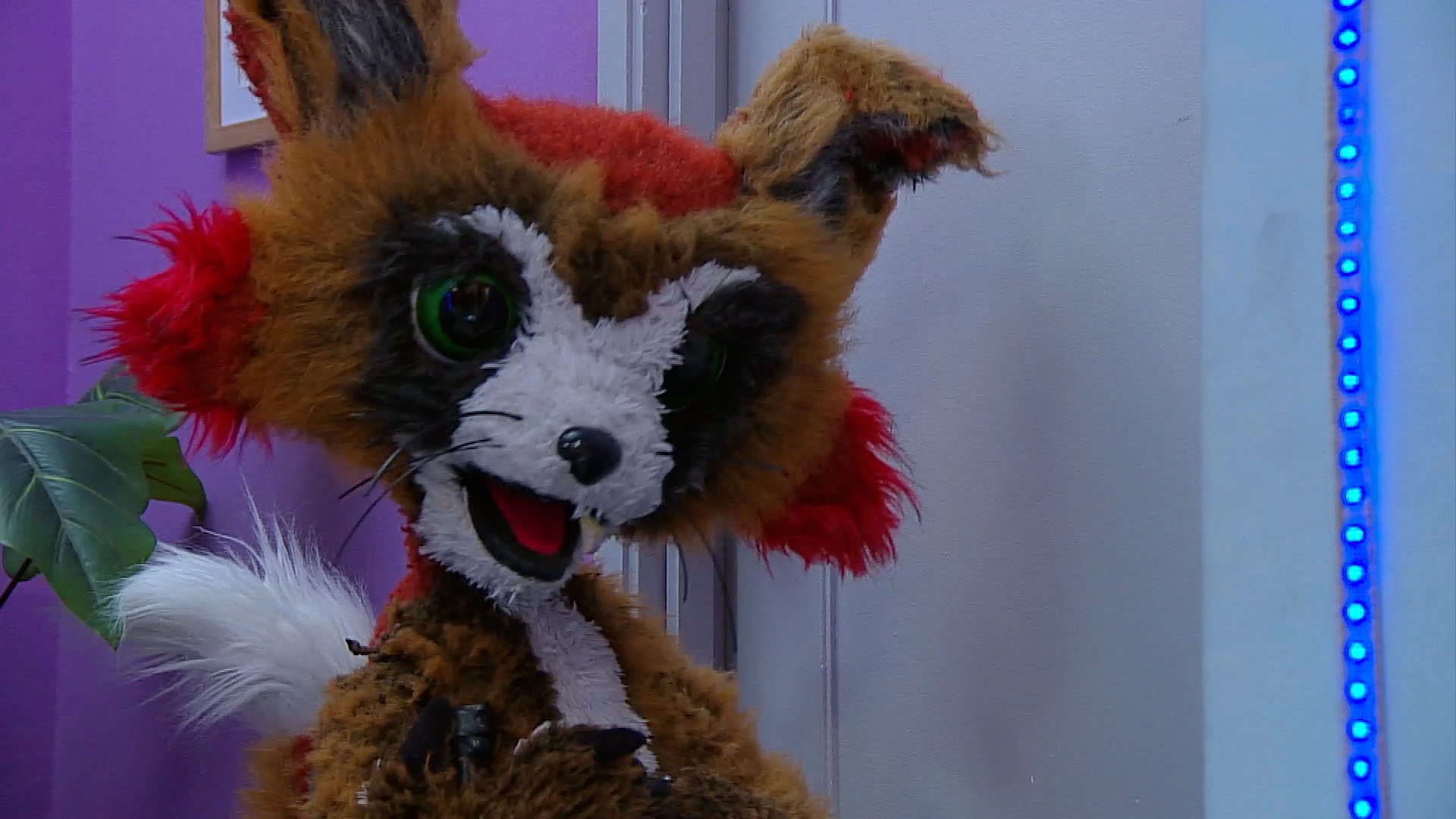 ¿Podrán los niños volver a tomar clases en el colegio? Descúbrelo en la plataforma de streaming RTVCPlay. 