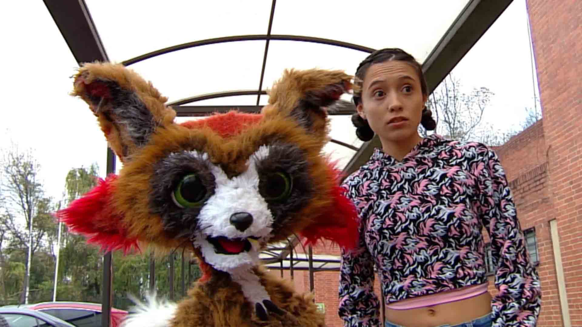 Conoce a los animalitos de Territorio Mágico por www.rtvcplay.co.