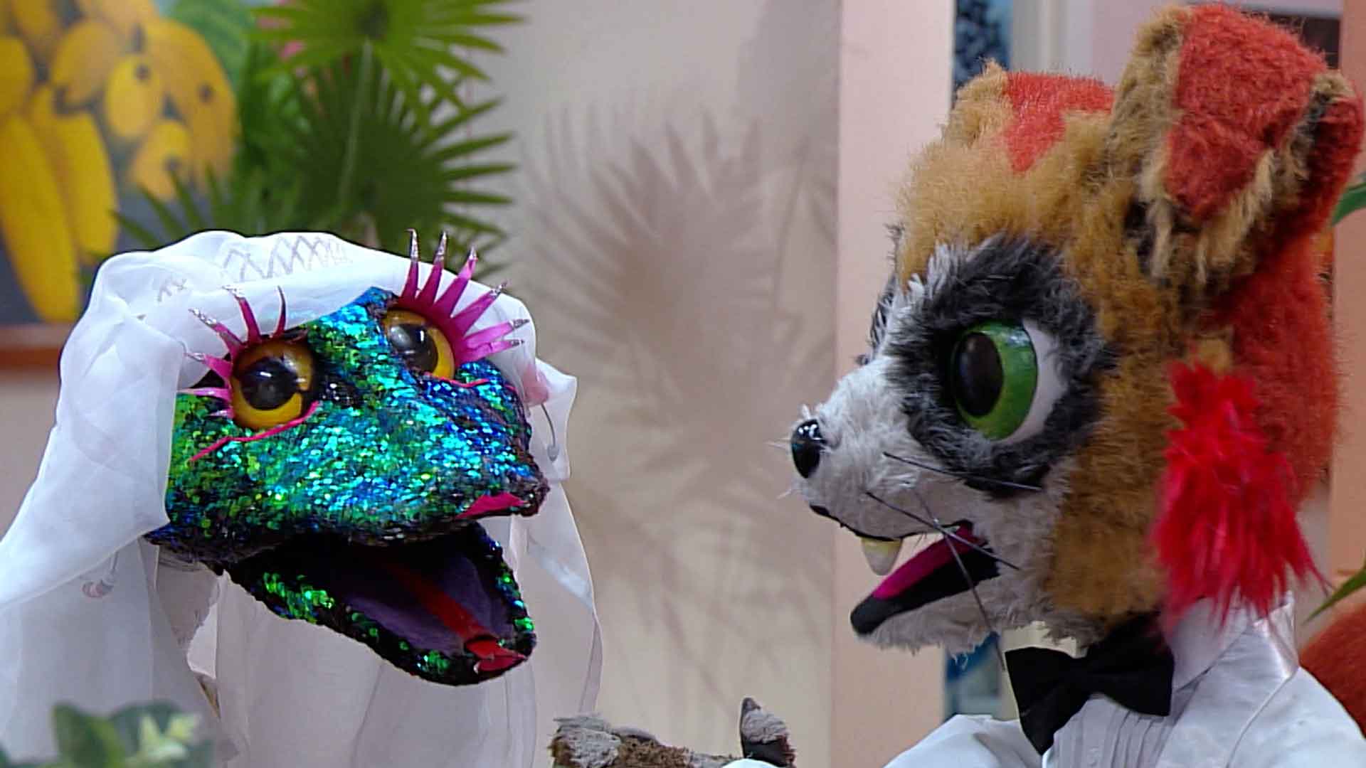 milton y debora se casan, matrimonio de valentina y jeronimo de territorio magico, boda, felicidad, marido y mujer, series online, territorio magico