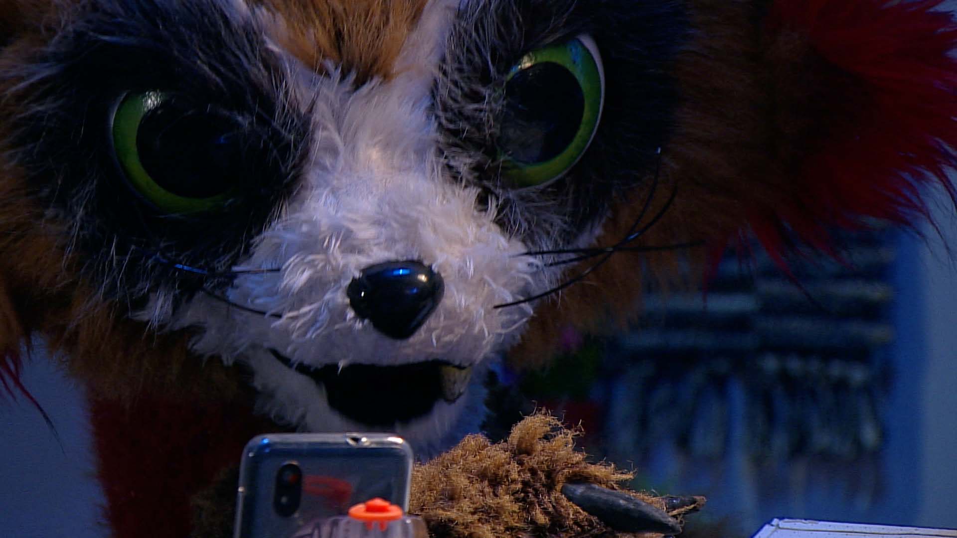 zorro de peluche viendo el celular