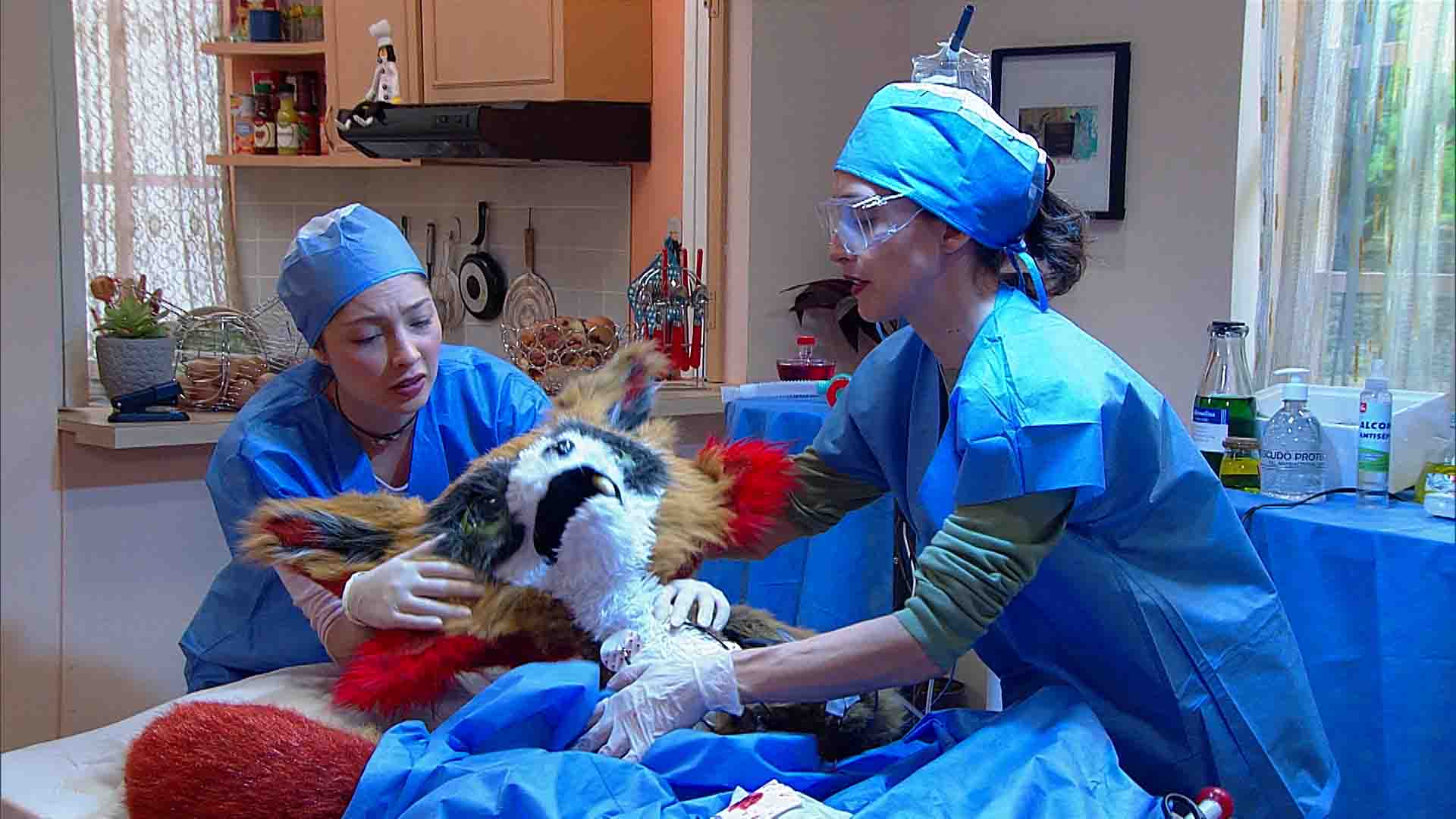 enfermeras atendiendo a un zorro de peluche