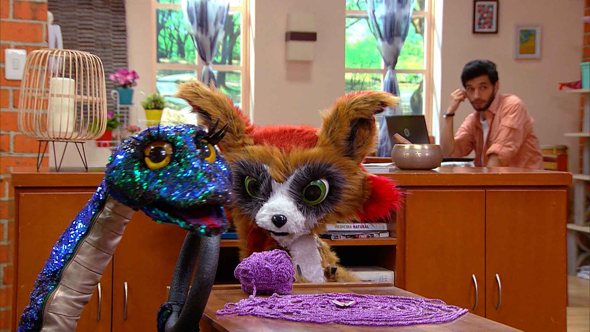 zorrito y serpiente de peluche en la sala con su amigo humano 