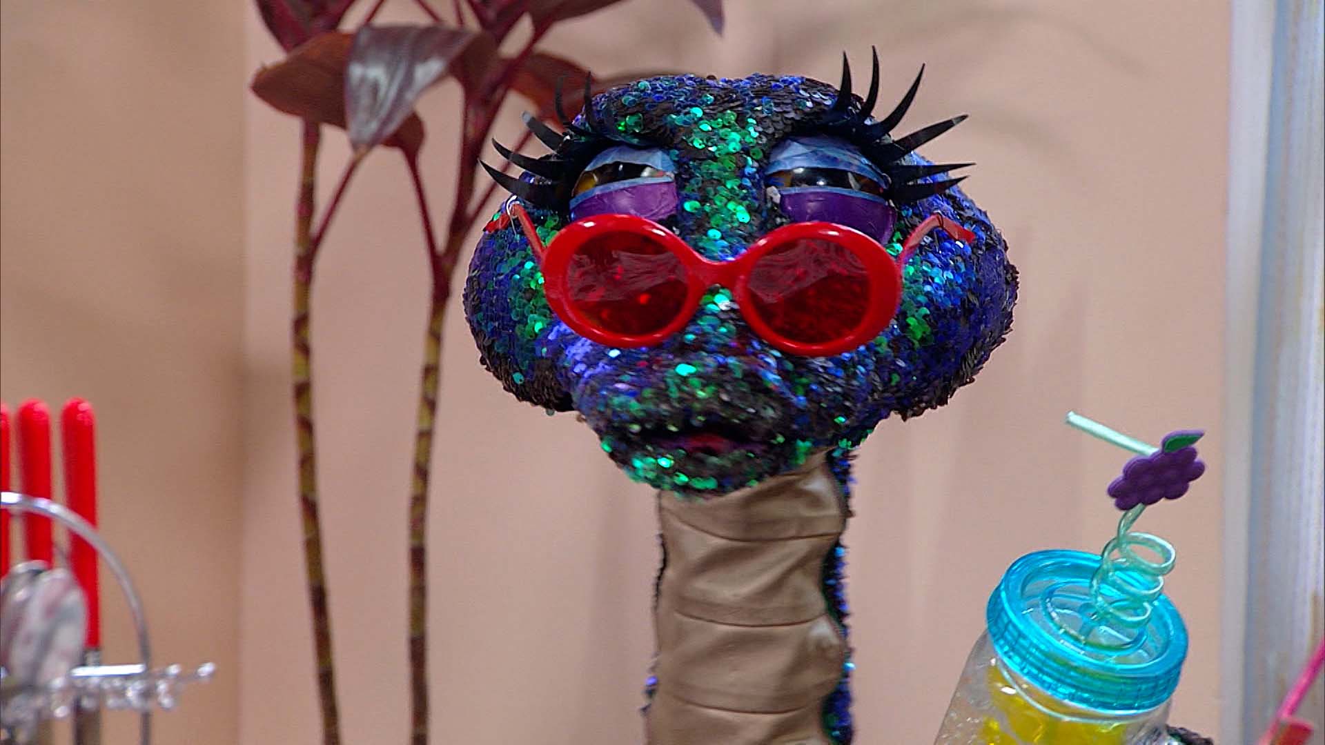 serpiente con gafas de sol