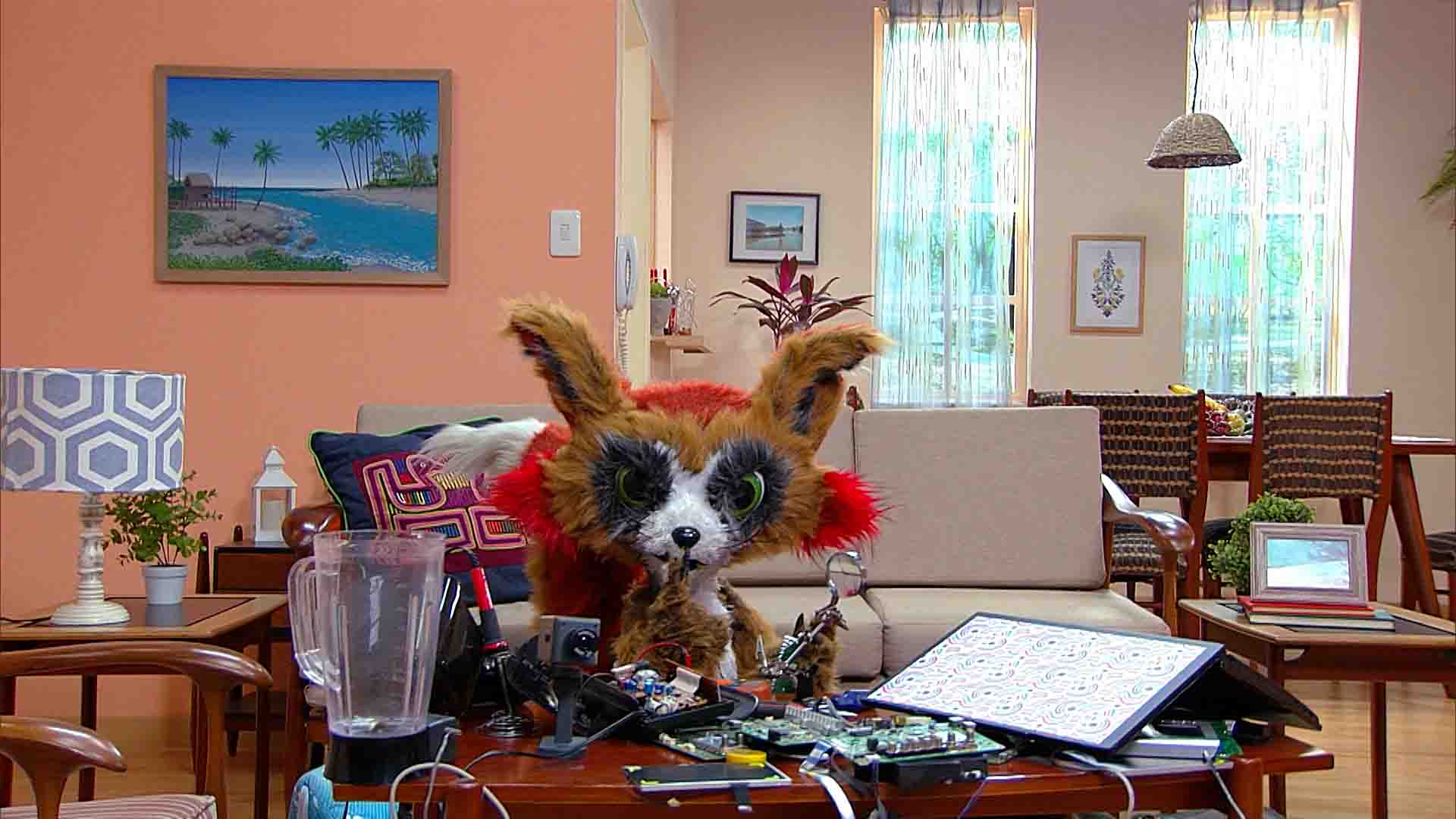 zorro rodeado de electrodomésticos en su casa