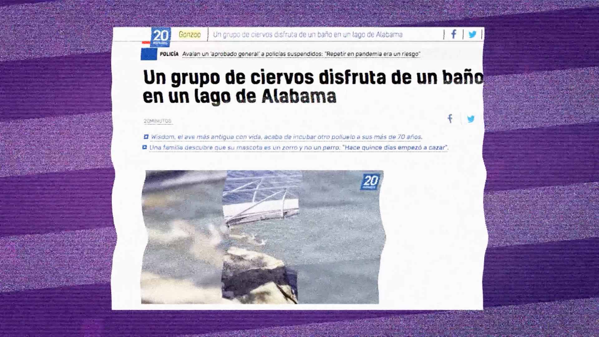 boletín informativo