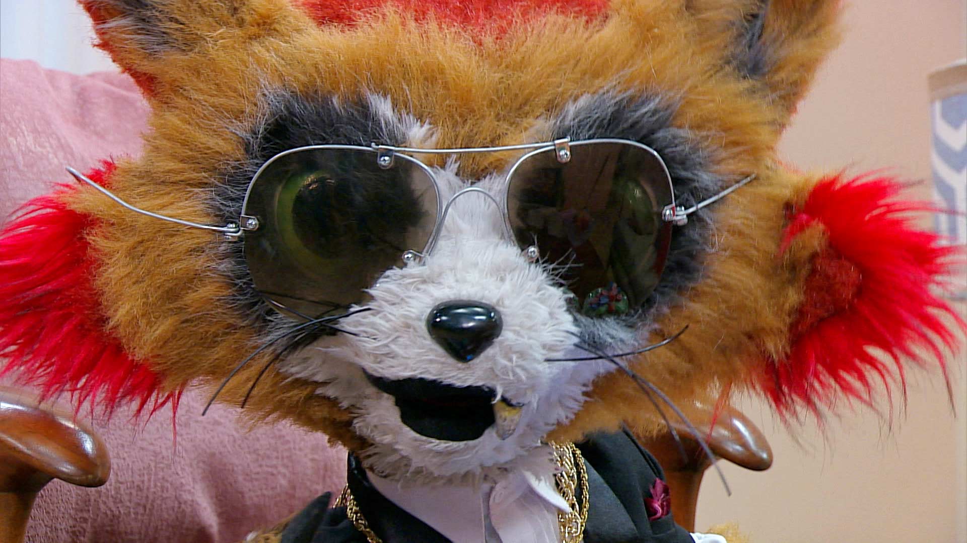 zorro con gafas de sol