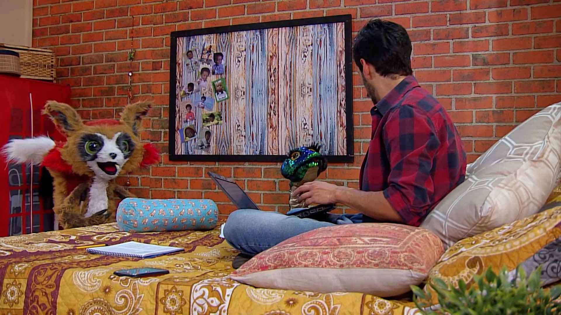 El zorro con su amigo humano 