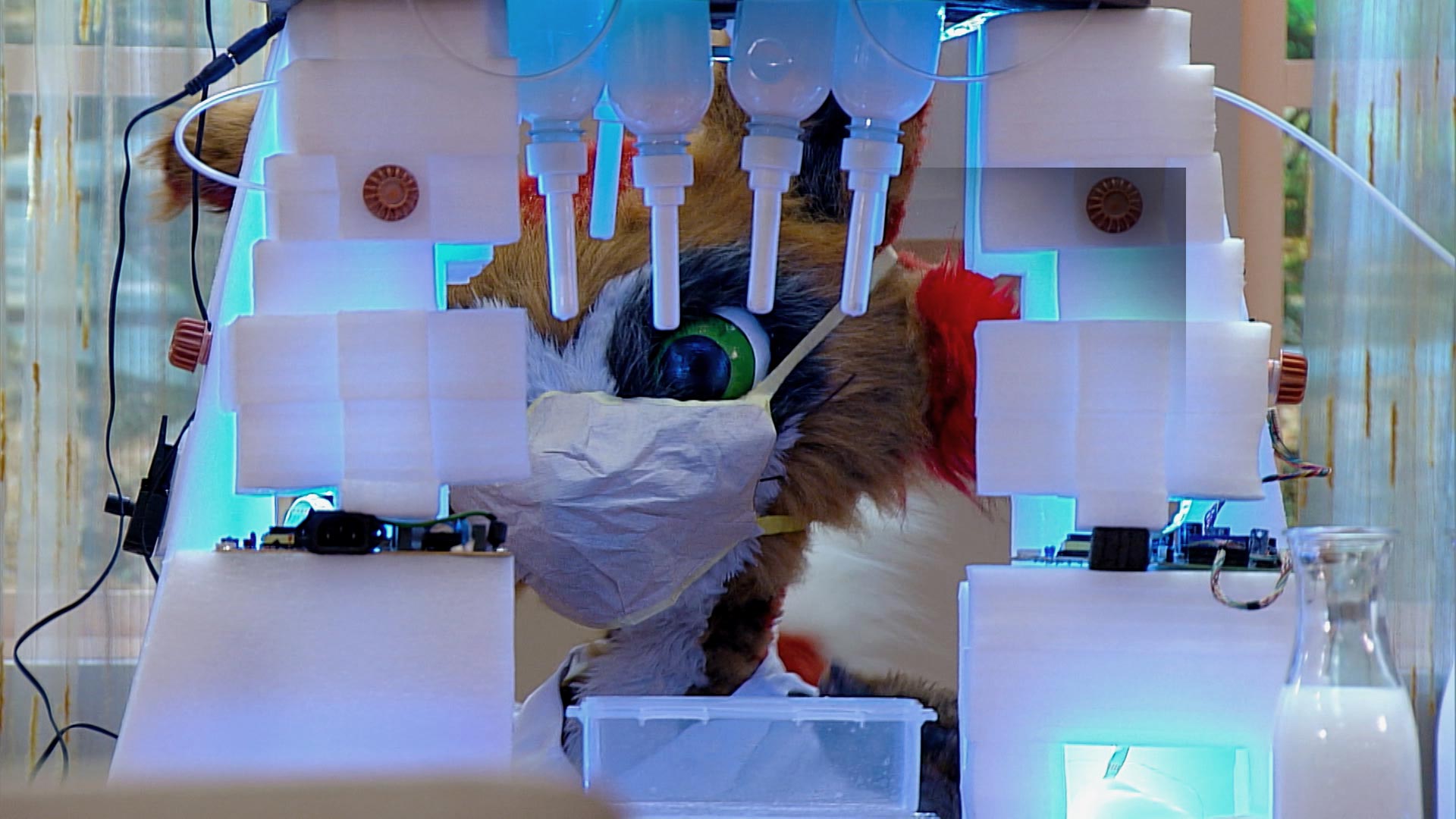 peluche en un laboratorio