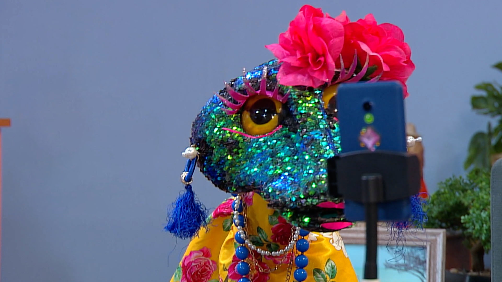 Mira la serie infantil Territorio Mágico por la plataforma de streaming RTVCPlay.