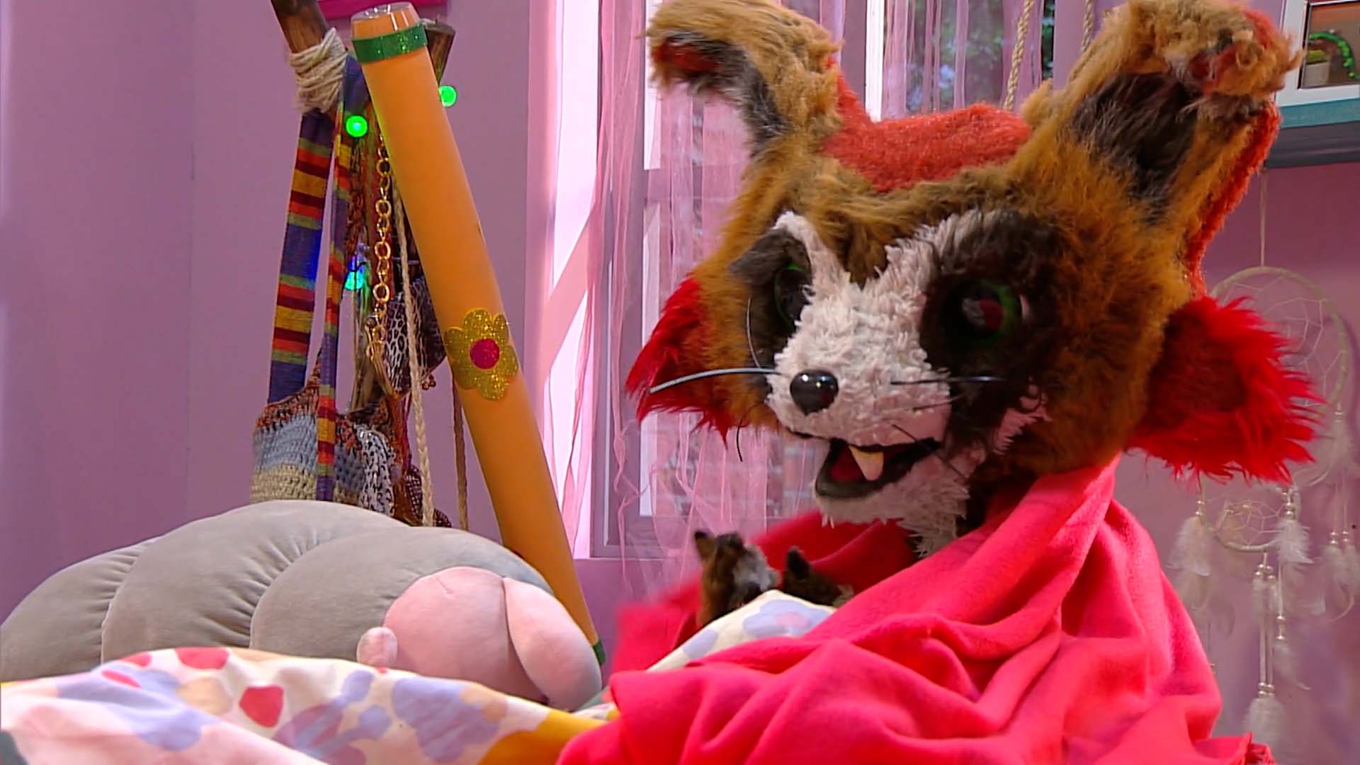 ¿Y ahora quién podrá preparar a ‘El Pluma’ para las olimpiadas? Descúbrelo en Territorio Mágico por RTVCPlay.