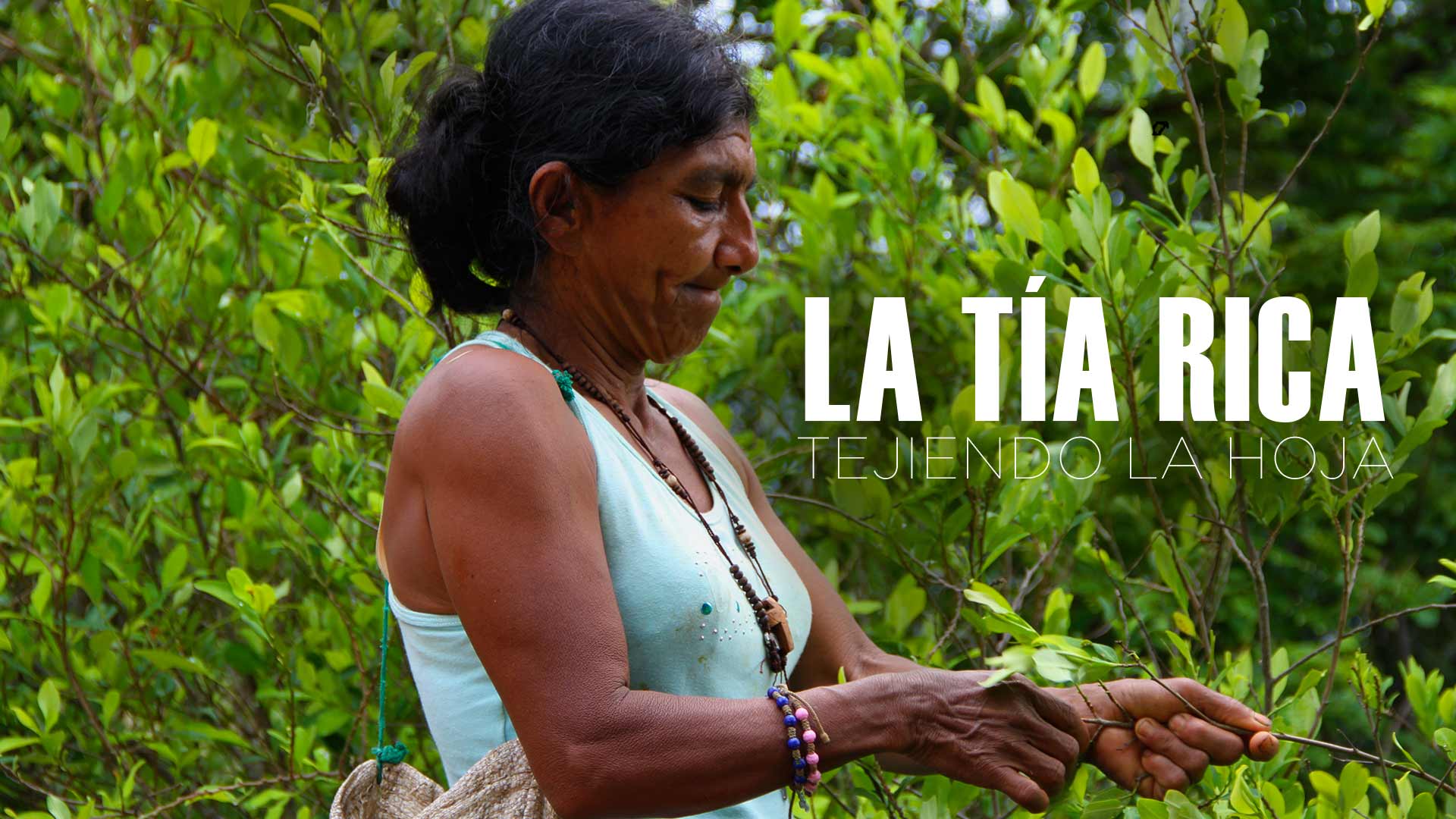 Póster oficial de La tía rica, disponible en RTVCPlay