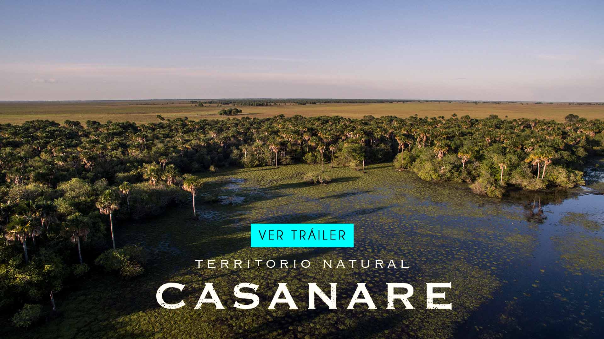 Póster de Territorio natural Casanare