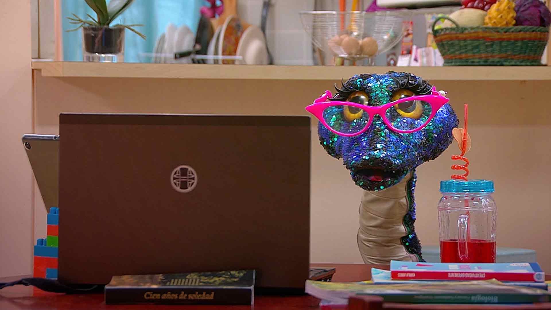 serpiente estudiando en un computador portátil