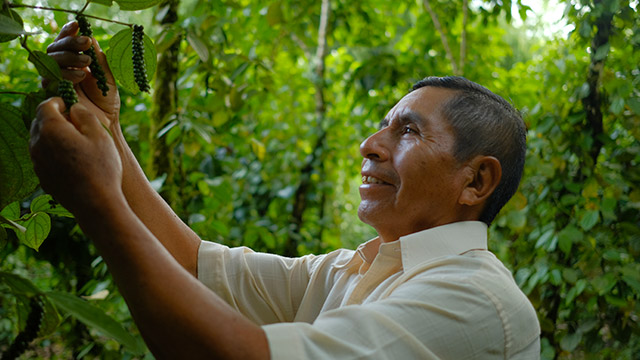 ¡Conoce la historia de los campesinos del Putumayo en Tierra por www.rtvcplay.co!