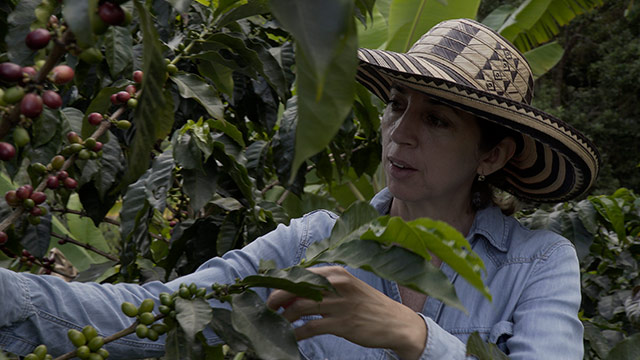 ¡Conoce la historia de las familias de La Morenal en Tierra por www.rtvcplay.co!