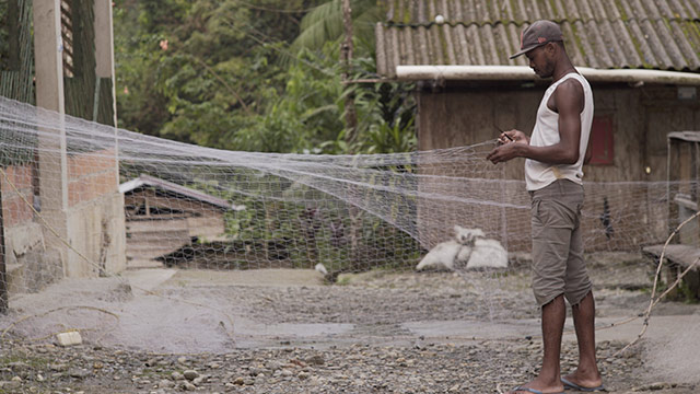 ¡Conoce la historia del consejo Comunitario de la Cuenca del Río Yurumanguí en Tierra por www.rtvcplay.co!