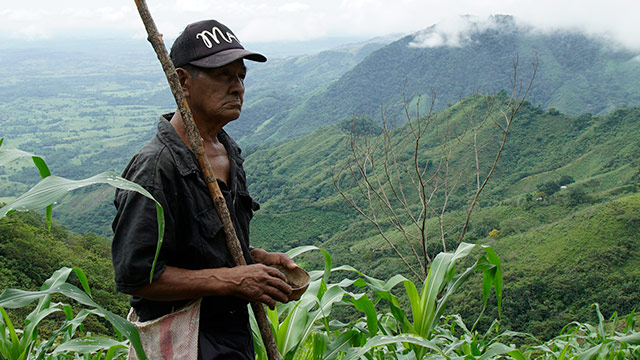 ¡Conoce la historia de Efraín Pencue en Tierra por www.rtvcplay.co!