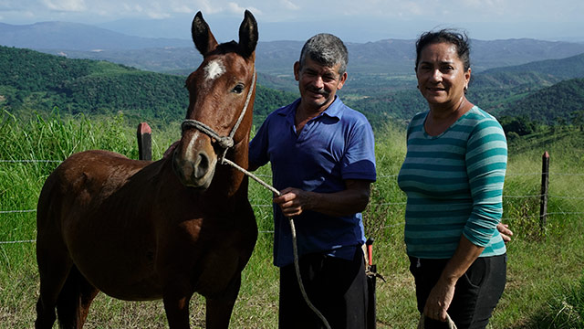 ¡Mira la serie documental Tierra por la plataforma de streaming RTVCPlay!