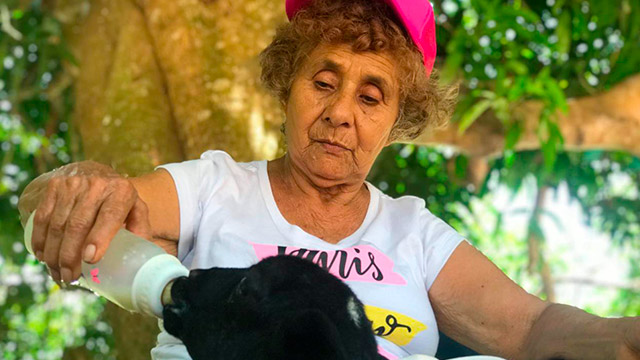 ¡Conoce la historia de Irene Montañez en Tierra por www.rtvcplay.co!