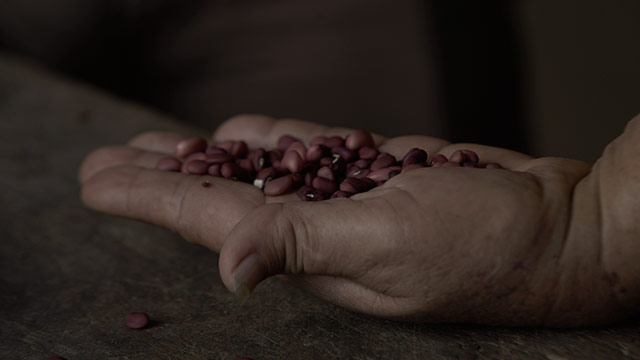 ¡Conoce la historia de los campesinos de los Montes de María en Tierra por www.rtvcplay.co!