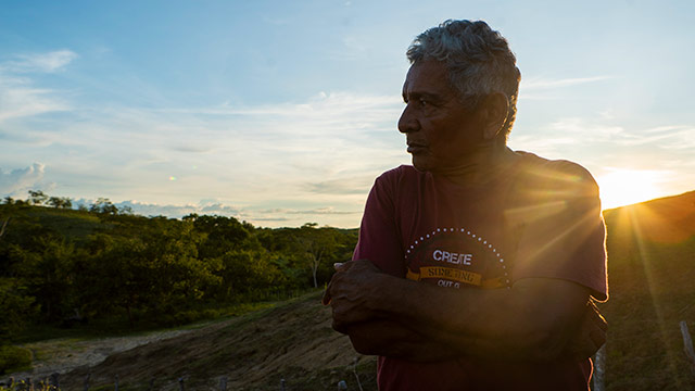 ¡Conoce la historia de la familia Ruiz en Tierra por www.rtvcplay.co!