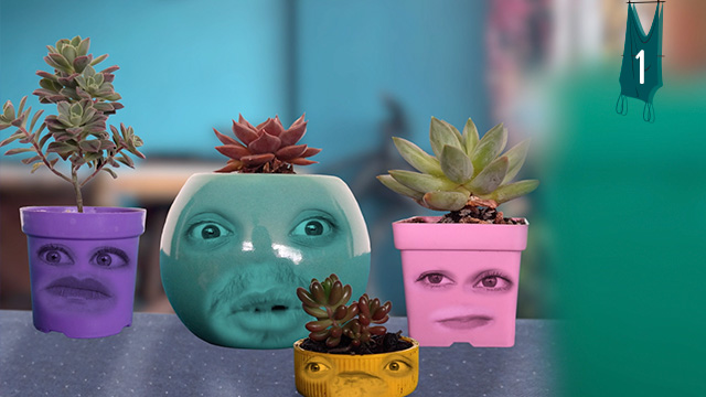 Caras de colores dentro de macetas
