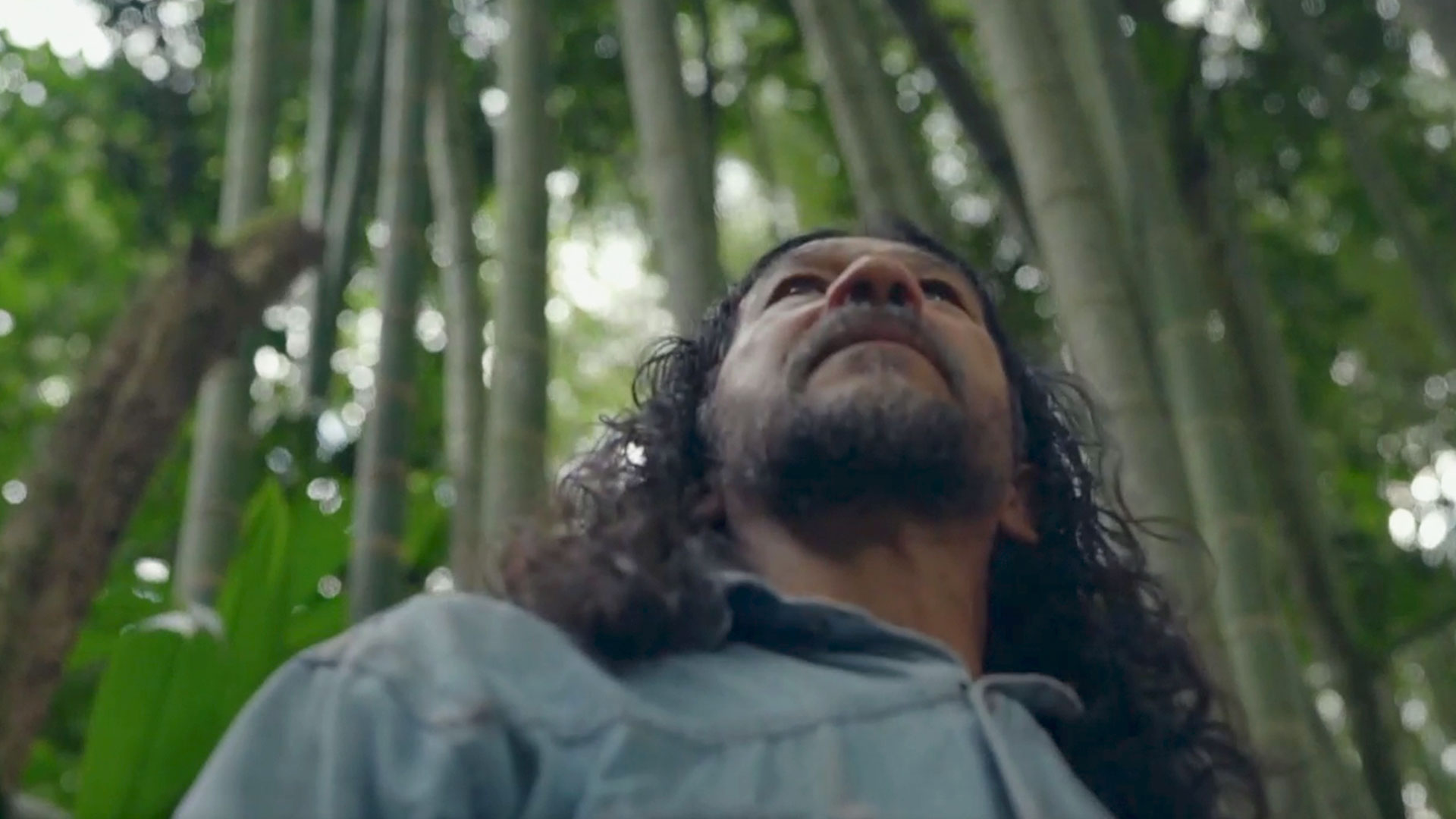 un hombre en medio de los árboles mirando hacia arriba