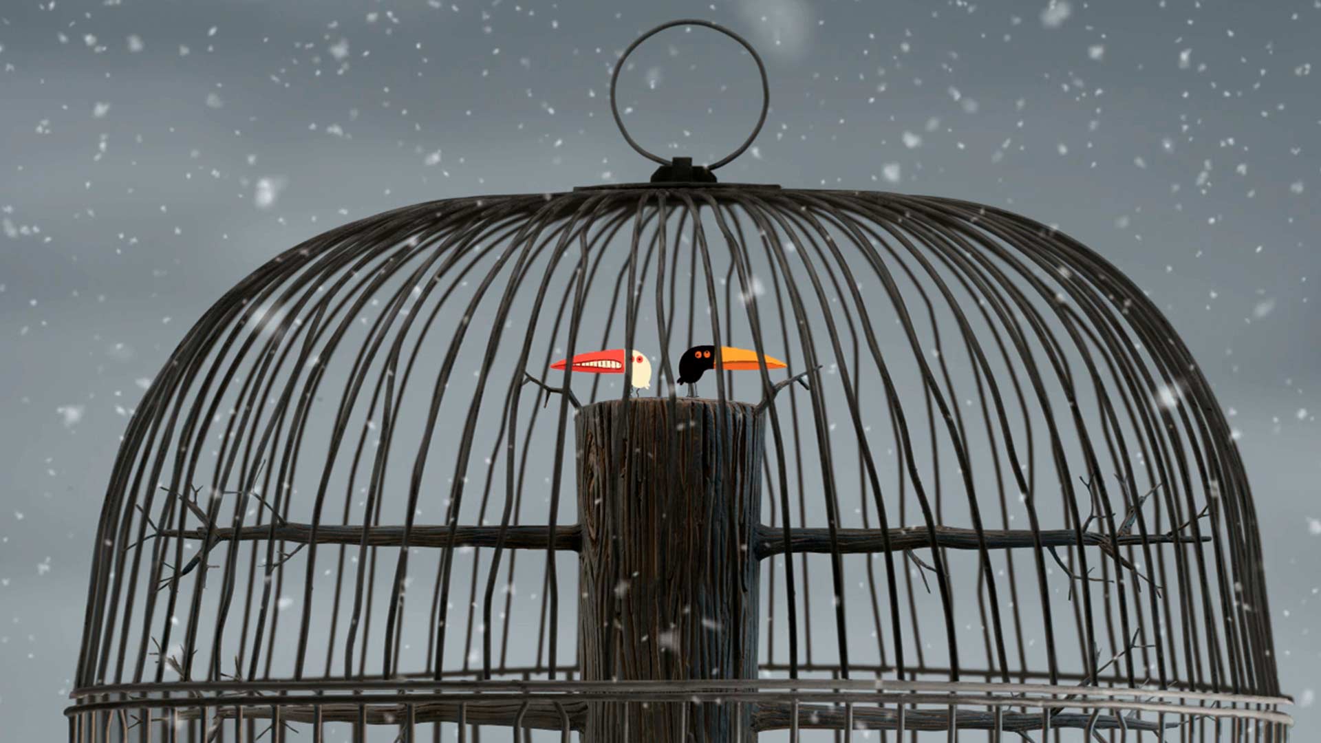 Aves migratorias, ver dos pajaritos, pajaros animados, pajaros de colores animados, serie infantil, pajaros rojos, series de señal colombia