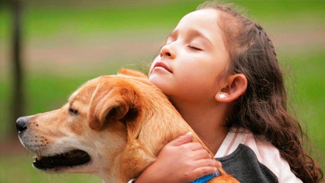 Niña, perro, mascota, parque, Señal Colombia, serie infantil, niños
