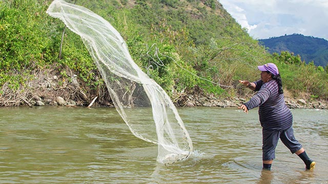 Pesca artesanal - Alma del sur