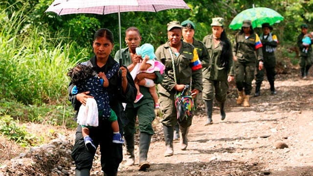 Acompaña a estos integrantes de la FARC en esta travesía por la plataforma de RTVCPlay.