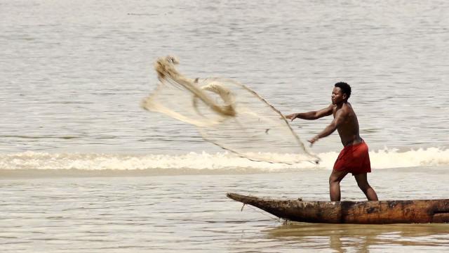 hombre lanzando la red en el mar