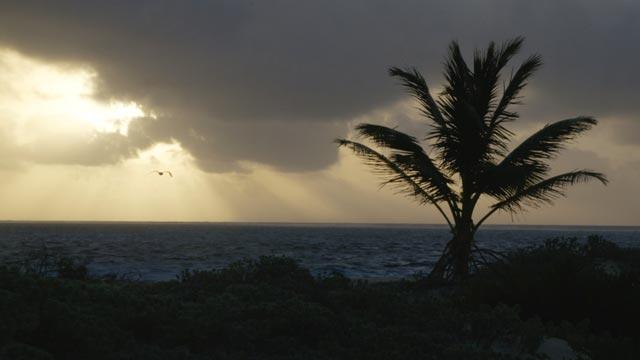 Conoce La tierra del agua a través de Colombia BIO en www.rtvcplay.co.