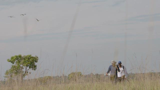 Conoce el documental de la directora Clare Weiskopf: Vichada, a la custodia de la vida. Disponible en www.rtvcplay.co.