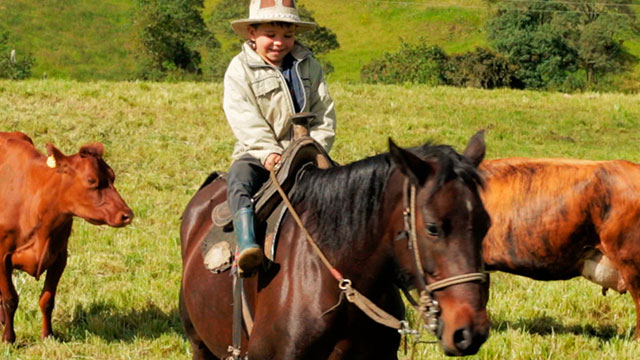 Niño, yegua, campo, RTVCPlay, Señal Colombia, serie infantil, felicidad