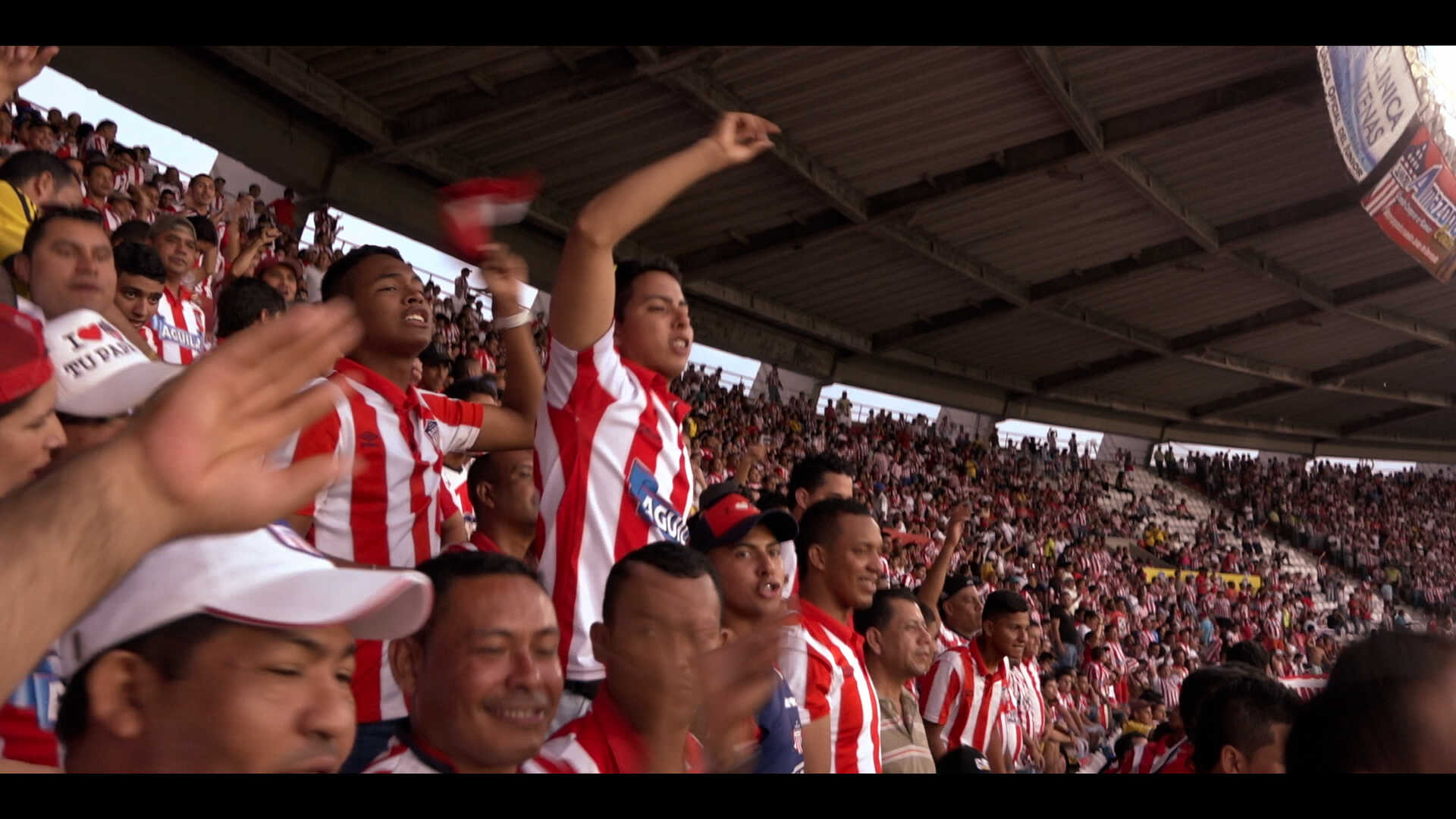 Conoce sobre el mundo deportivo con Elemento D. Disponible en la plataforma de streaming RTVCPlay.