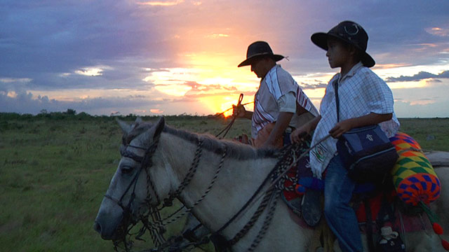 Niños, caballo, llanos orientales, Colombia, serie, RTVCPlay, Señal Colombia, ver, gratis