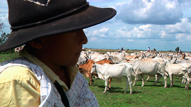 De a caballo, ver, gratis, serie, creencias, llaneros, ahijados, duende, cines, Señal Colombia, historias