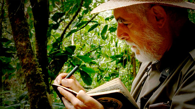 hombre explorador en la jungla anotando en su libreta