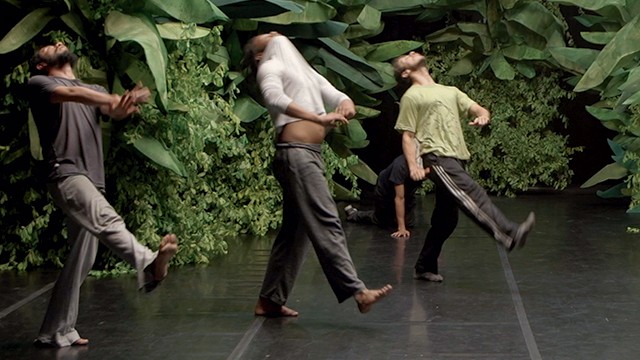 grupo de bailarines danzando en una presentación