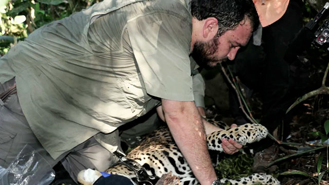 José Fernando González - Los Nuestros