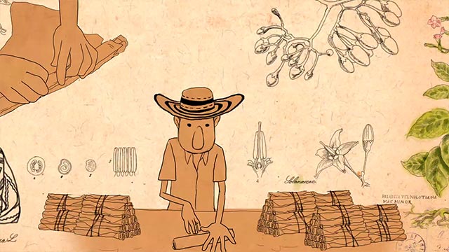 Niño, historias, familia, música, acordeón, RTVCPlay, serie, capítulo, Señal Colombia